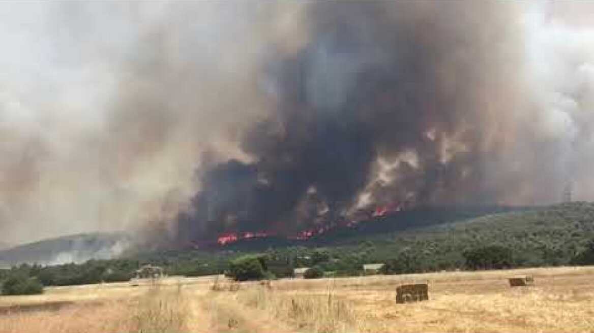 Εικόνα από τη φωτιά κοντά στον οικισμό Πουρνάρι, στα Δερβενοχώρια