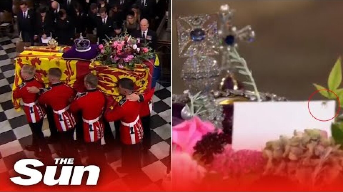 Stowaway Spider seen crawling across flowers on The Queen's coffin during the funeral