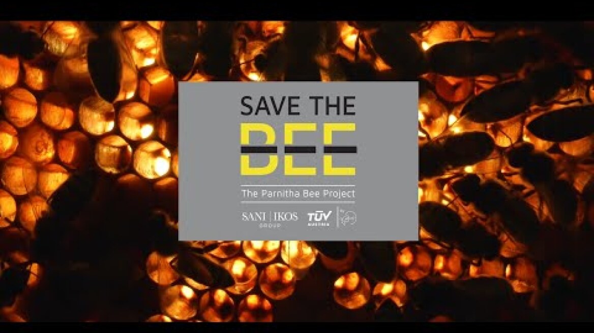 SAVE THE BEE - The Parnitha Bee Project: Για την ανασυγκρότηση της βιοποικιλότητας στην Πάρνηθα