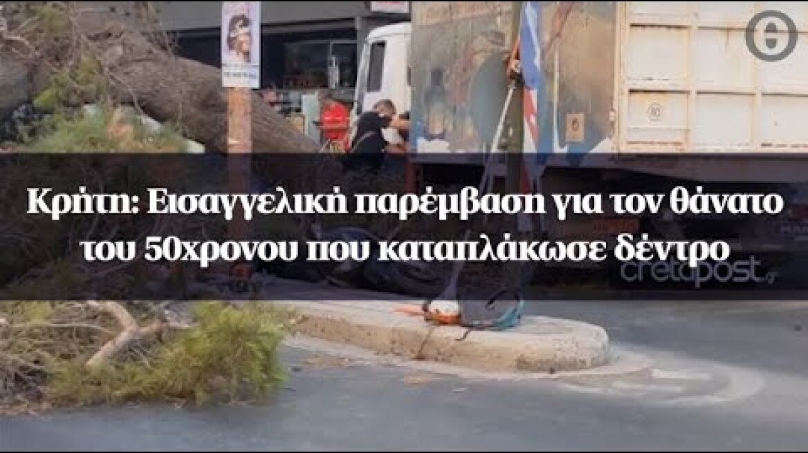 Κρήτη: Εισαγγελική παρέμβαση για τον θάνατο του 50χρονου που καταπλάκωσε δέντρο