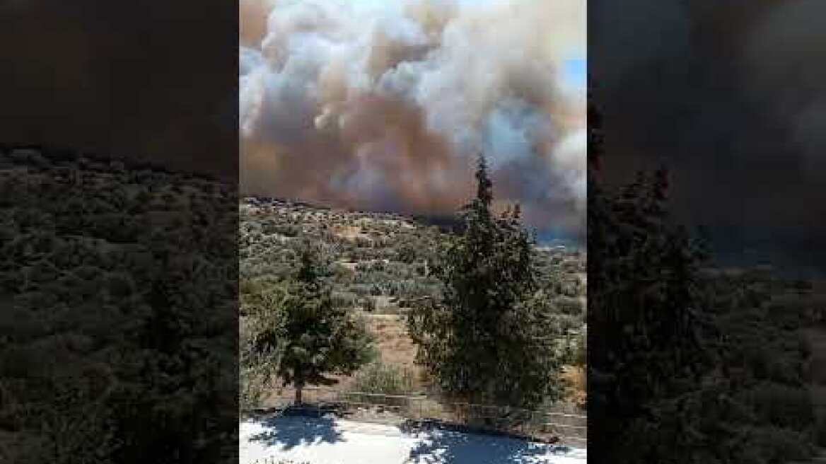 Κοντά στο χωριό Αποδούλου η πυρκαγιά 8/8/2024