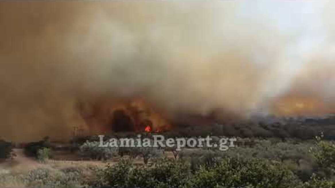 LamiaReport.gr: Μεγάλες διαστάσεις έχει πάρει η πυρκαγιά στη Λαμία