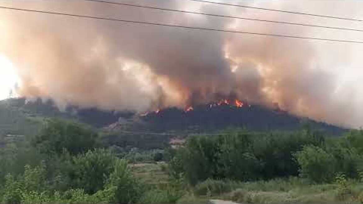 Καίγονται μεγάλες εκτάσης δάσους κοντά στη Δαδιά του Έβρου