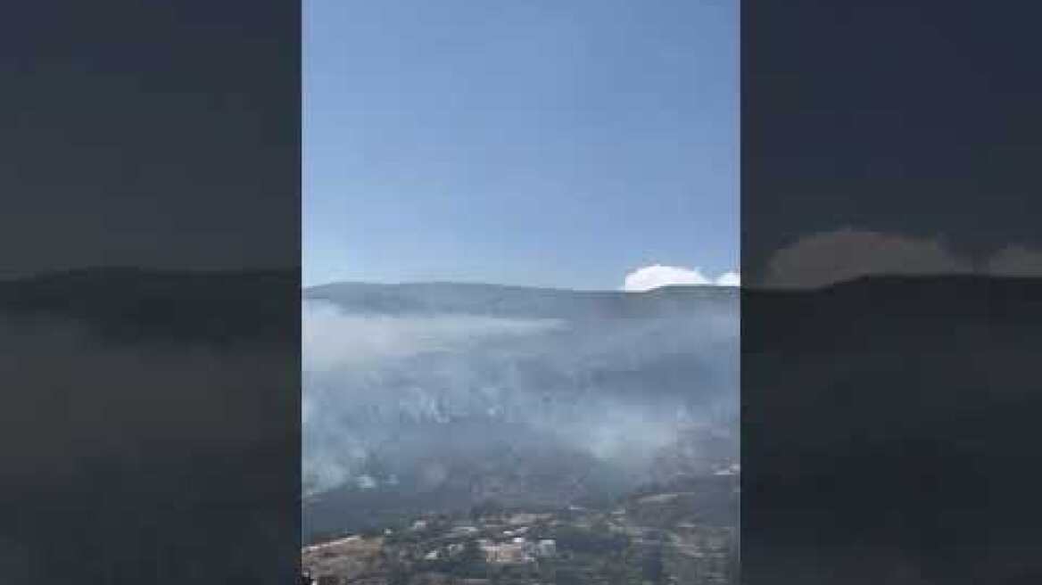 Πυρκαγιά καίει σε δασική έκταση στην Άνδρο