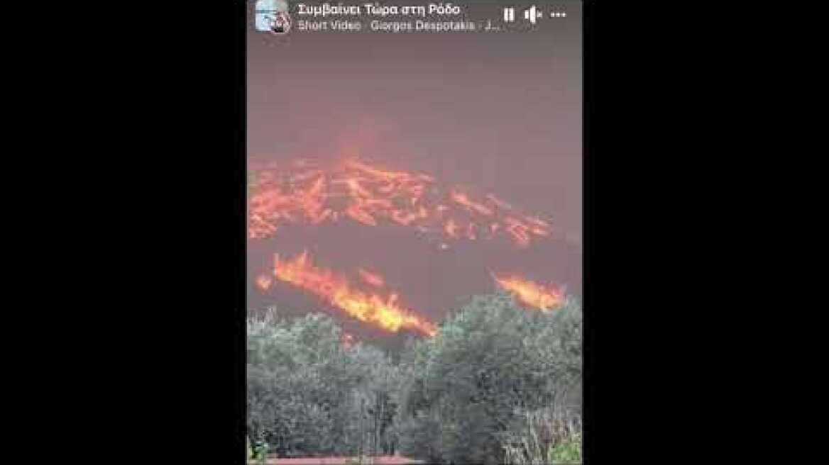 Meteo.gr: Δημιουργία πυροστροβίλου στη δασική πυρκαγιά της Ρόδου - 22.07.2023