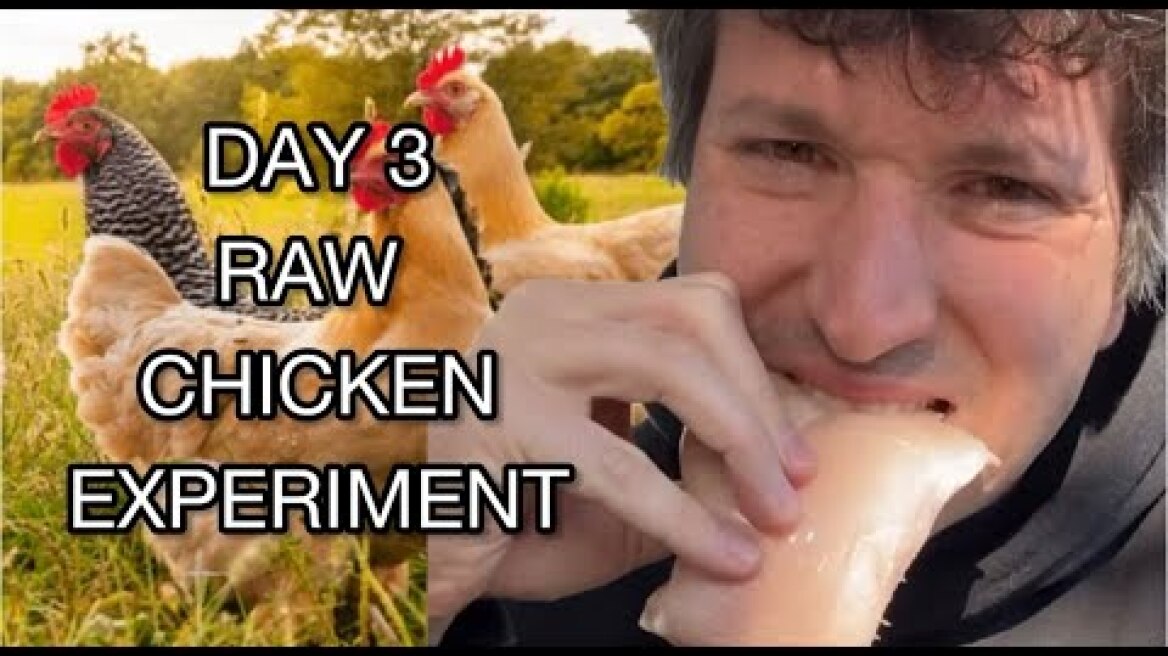 Day 3: Raw Chicken Experiment