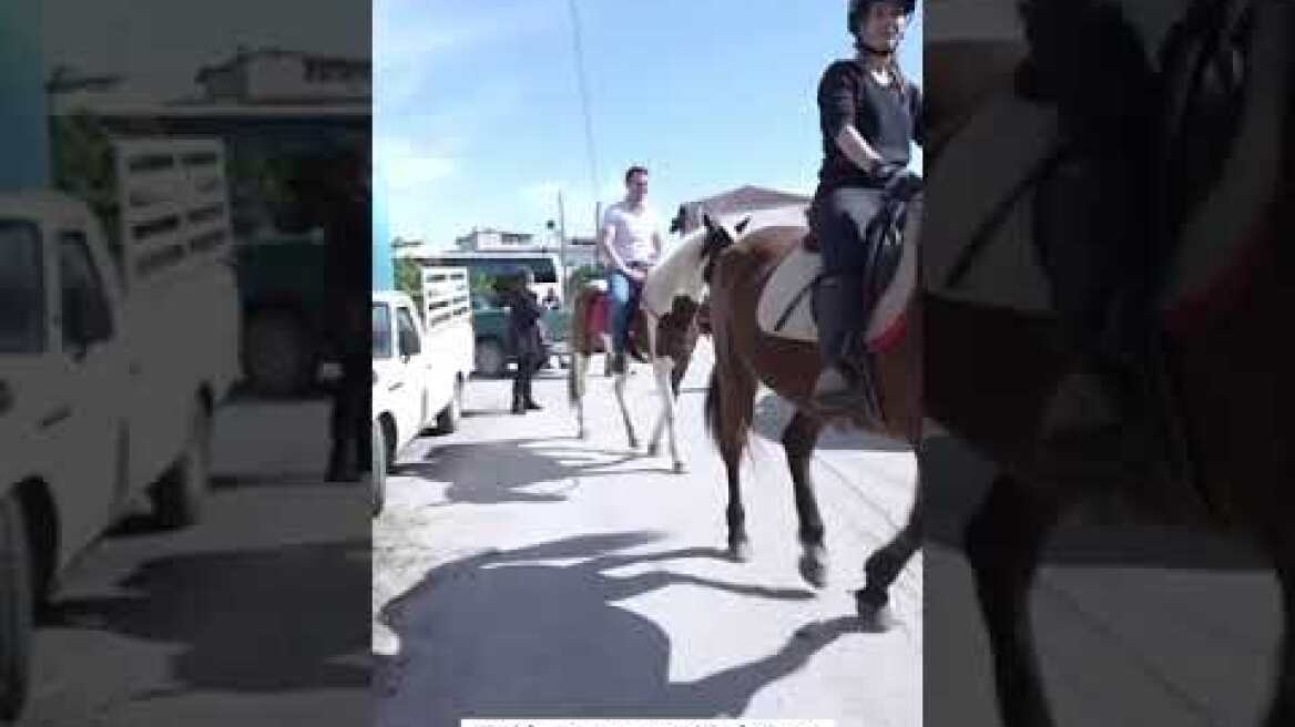 Βόλτα Κασσελάκη με άλογο που του δώρισαν, στο Δρέπανο Αργολίδας