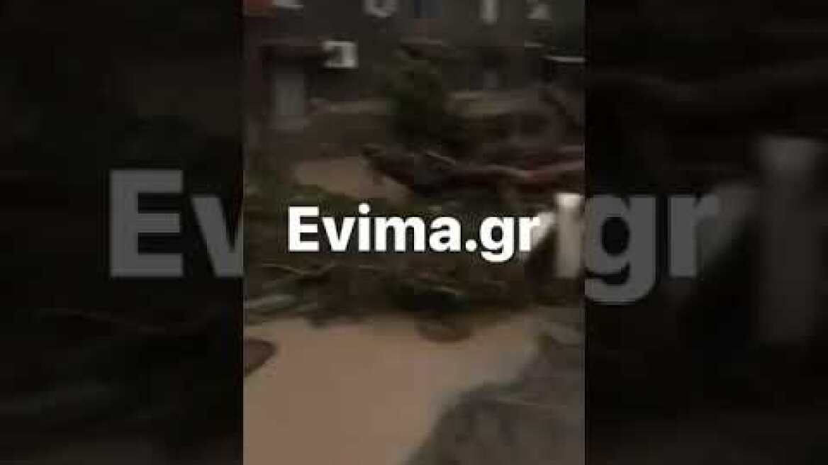 Κακοκαιρία Elias: Πλημμύρισαν σπίτια και δρόμοι στην Εύβοια