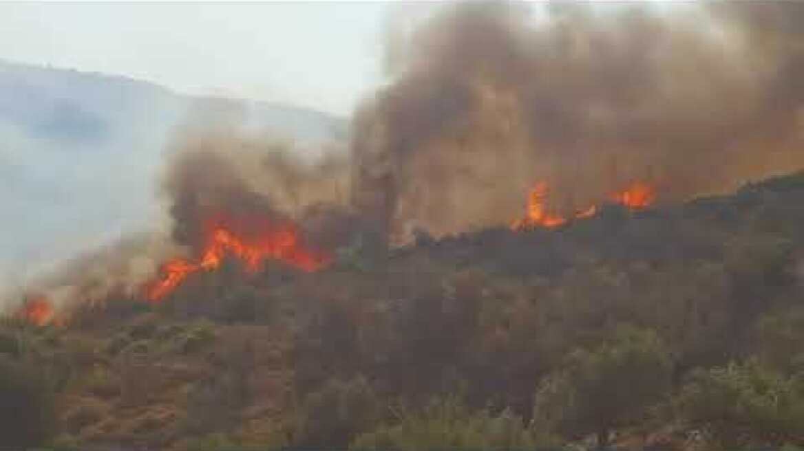 Μαίνεται η φωτιά στην Εύβοια - Νέο 112 για εκκένωση σε Πετριές και Κριεζά (2)