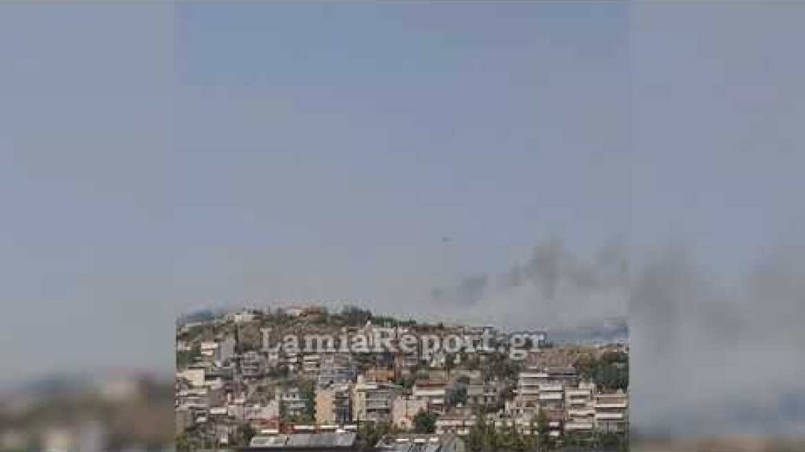 LamiaReport.gr: Πυρκαγιά Λαμία