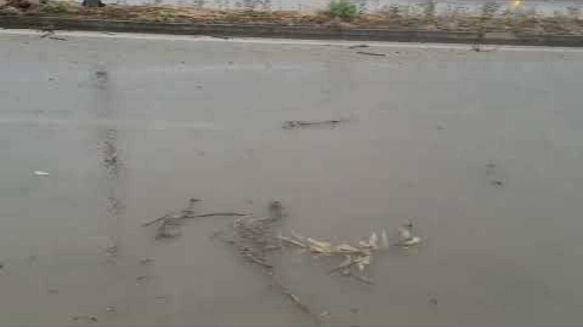 Πλημμυρισμένος ο δρόμος από την Καρδίτσης στη Λάρισα προς το ΠΓΝΛ