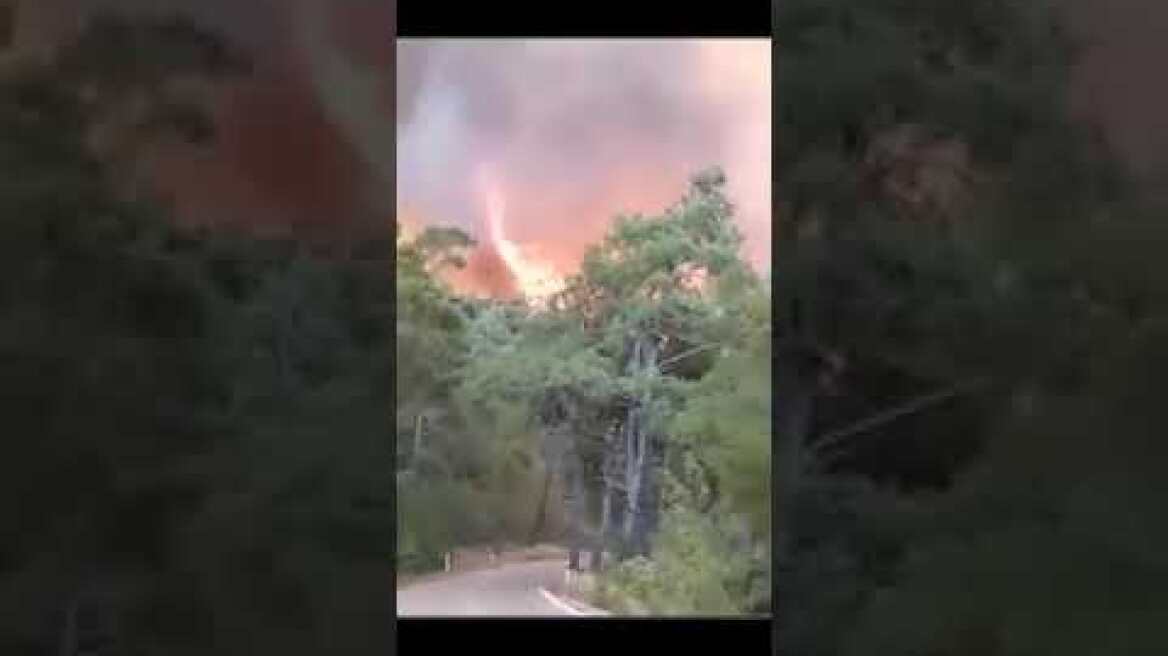 Φωτιά στη Ρόδο: Εκκενώνονται τρία χωριά και ένα ξενοδοχείο - Ανεξέλεγκτη η πυρκαγιά