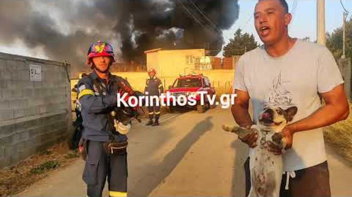 φωτιά σε βιομηχανία στην κόρινθο