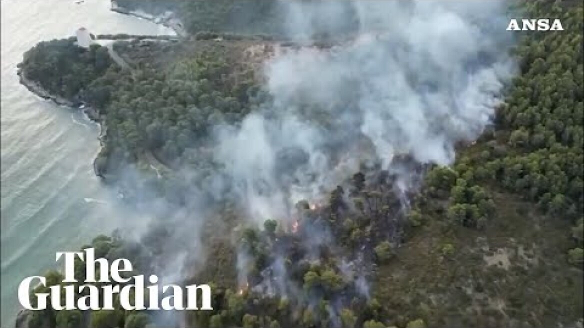 Drone footage shows wildfire in Vieste, Puglia