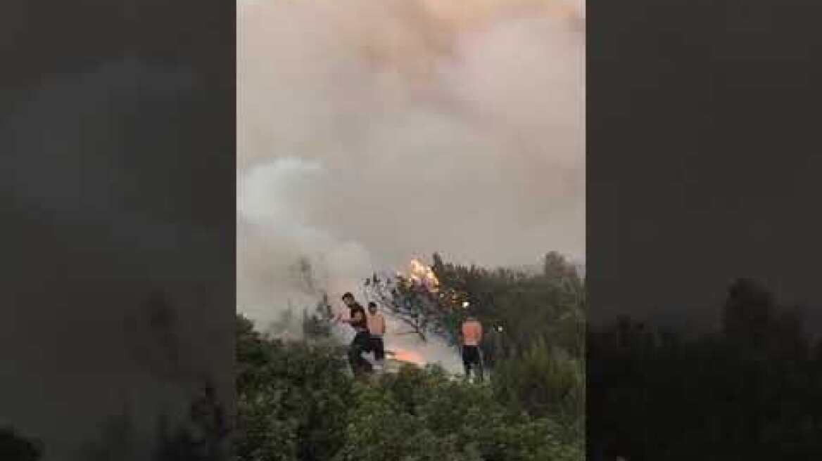 Φωτιά στη Ρόδο: Μάχη με πυροσβεστήρες στα χέρια στο Κιοτάρι