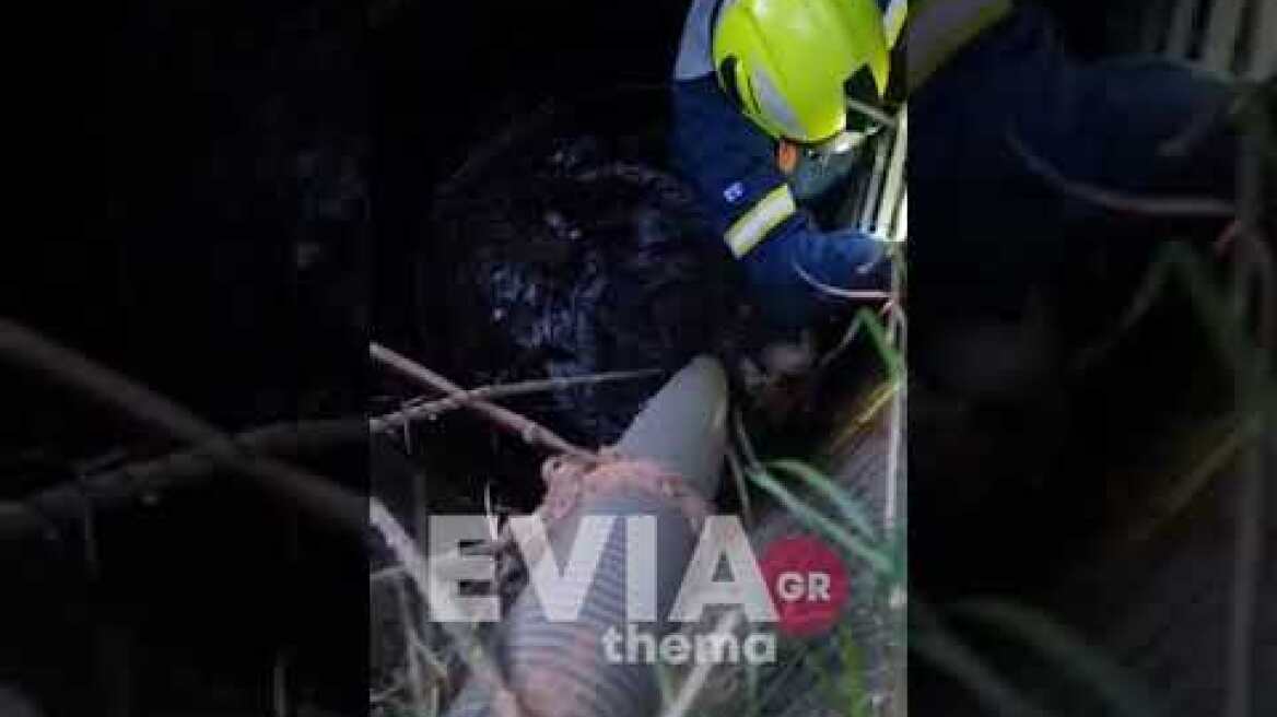 Eviathema.gr - Rescue of a dog from a well by the Volunteers of the SEDDD