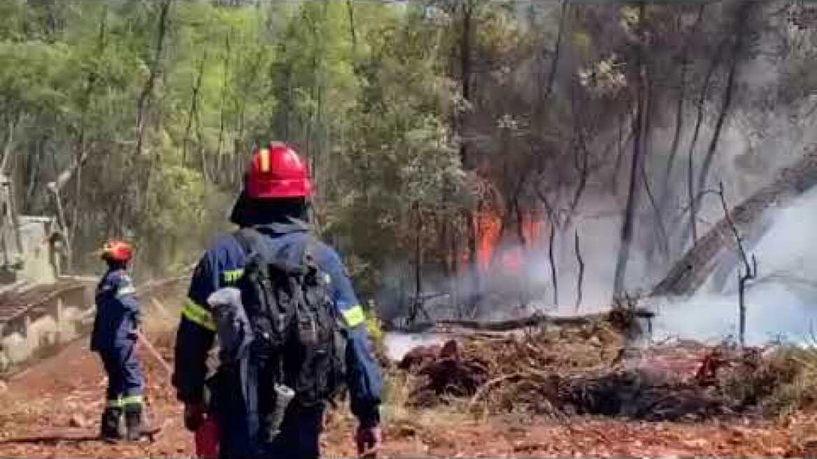 Φωτιά στο Σοφικό Κορινθίας (4)