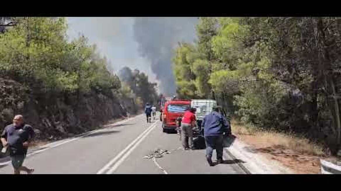 Φωτιά στο Σοφικό Κορινθίας (2)