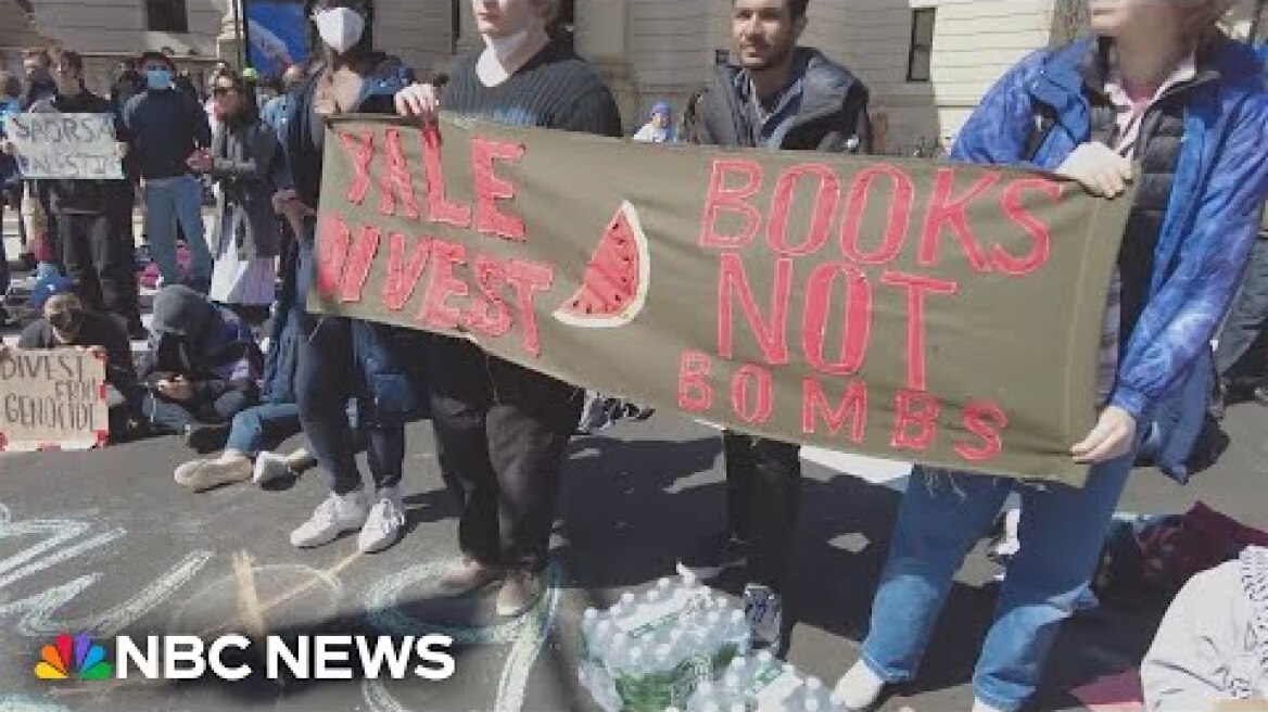 Dozens arrested at Yale University pro-Palestinian protest