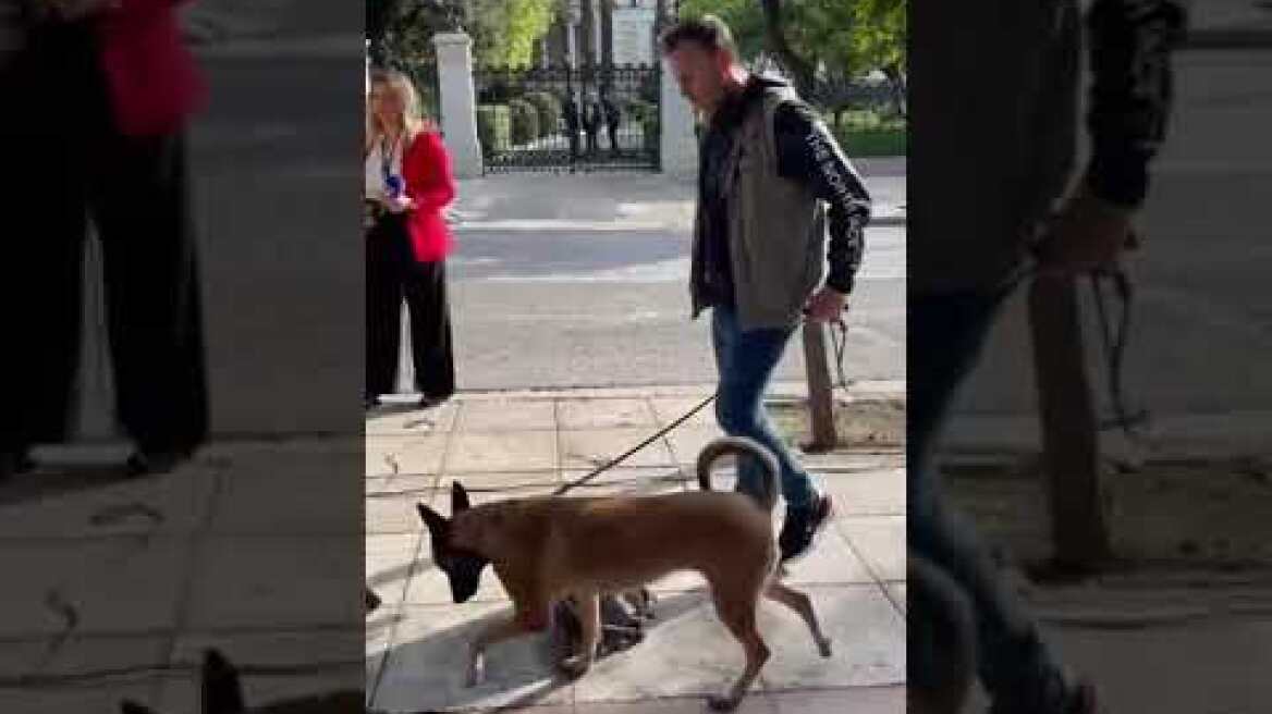 Έλεγχος με σκύλο στις τσάντες δημοσιογράφων έξω από προεδρικό και Μέγαρο Μαξίμου