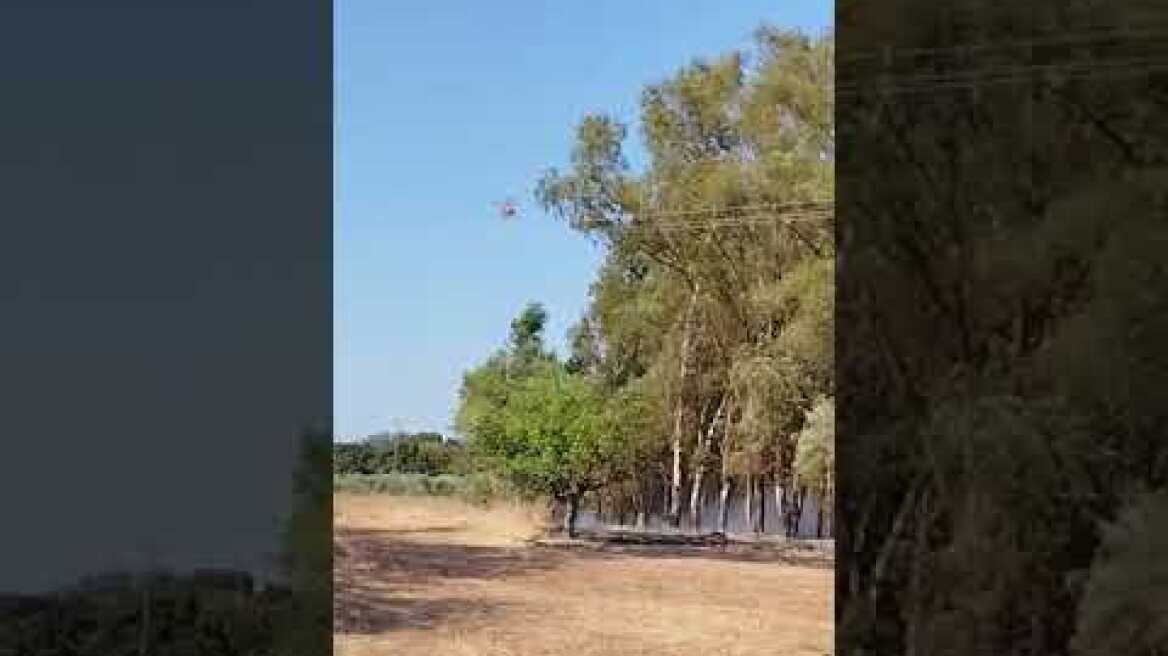 ΠΥΡΚΑΓΙΑ ΣΤΟ ΓΟΜΟΣΤΟ