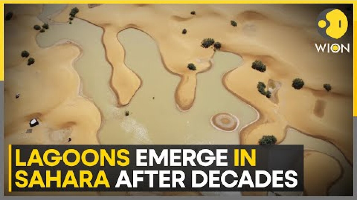 Rare-Flooding Hits Drought Hit Sahara Dessert, Creating Lagoons Amid The Sand Dunes | WION