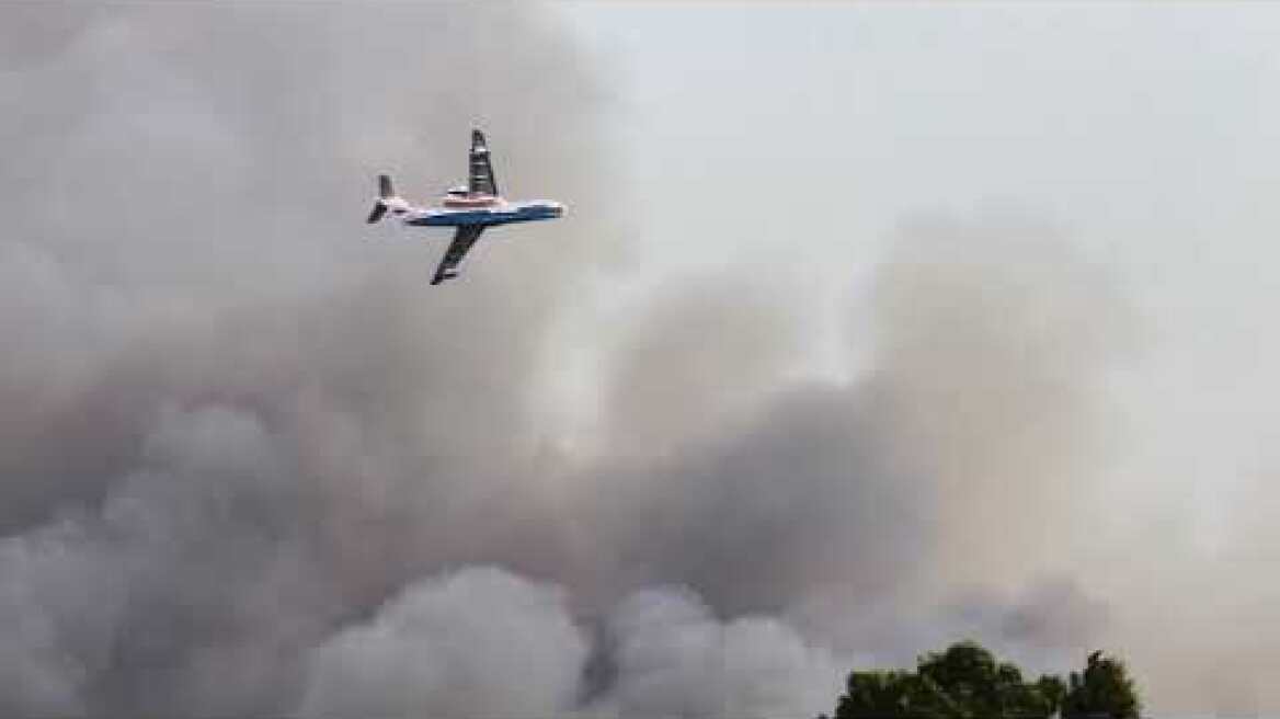 Forest fire in Rhodes, Theologos, 1st August 2021
