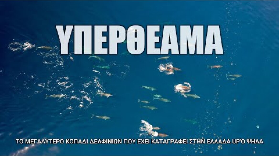 Υπερθέαμα. Το μεγαλύτερο κοπάδι δελφινιών που έχει καταγραφεί στην Ελλάδα Up'ο ψηλά.