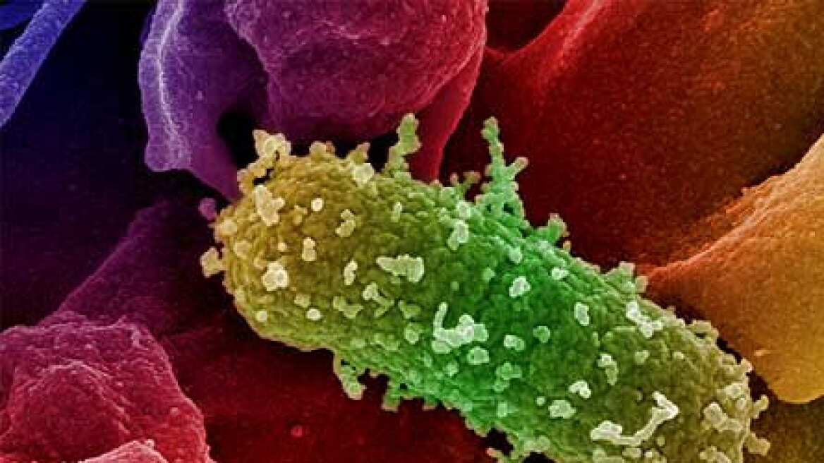 Τρία κρούσματα του σούπερ μικροβίου NDM-1 στην Κίνα  