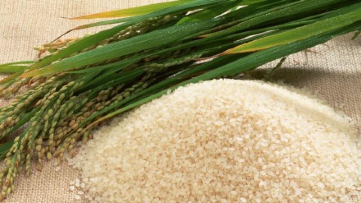 «Μπλόκο» σε ακατάλληλο ρύζι από το Πακιστάν