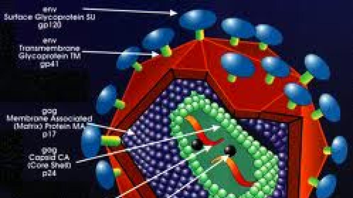 Μια πρωτεΐνη συνδέεται με τη φυσική ανοσία ορισμένων στον HIV