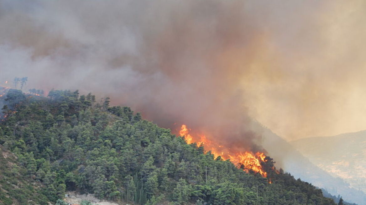 Πυρκαγιά σε δασική περιοχή των Σερρών