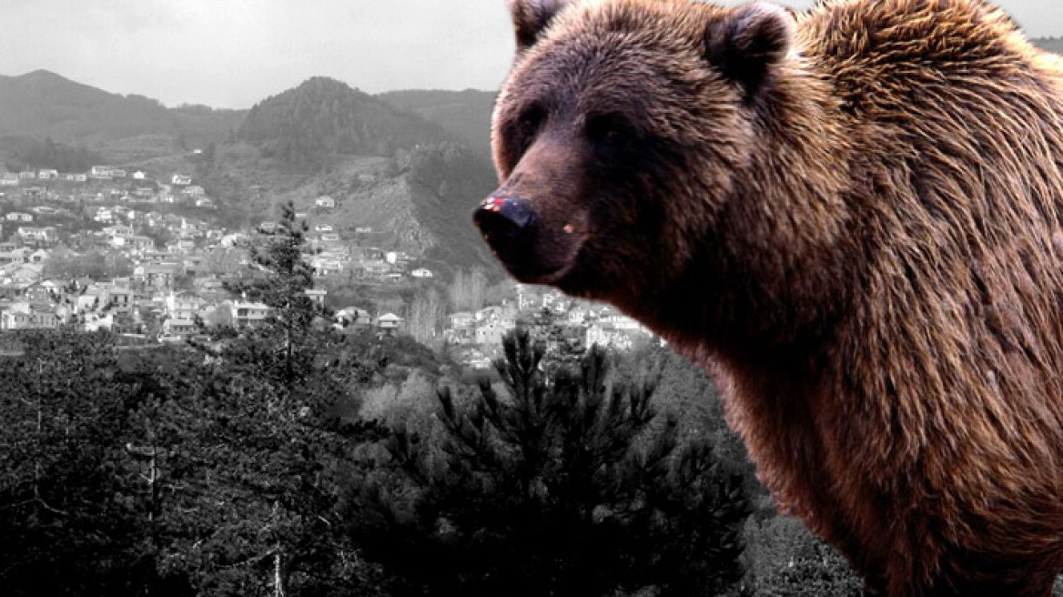 Απίστευτο: Εφαγαν… αρκούδα στα Γρεβενά!