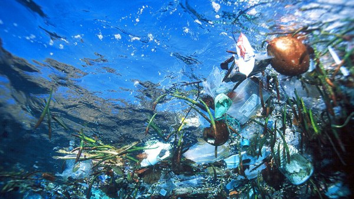 Τα απόβλητα στη θάλασσα σκοτώνουν, λένε WWF και Μεσόγειος SOS