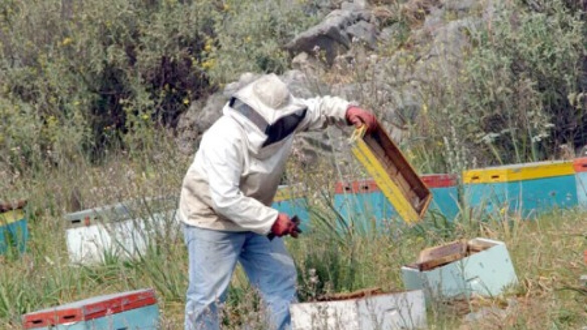  Διαμαρτυρία των μελισσοκόμων για τα παράνομα ραντίσματα