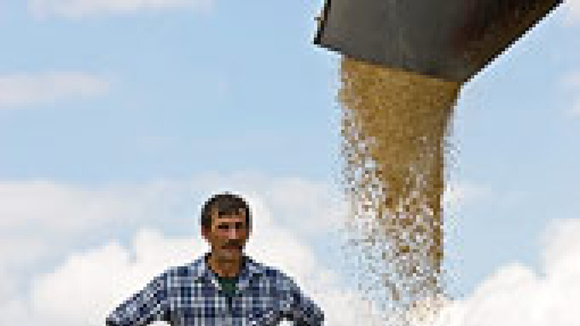 Πέντε εκατομμύρια τόνους σιτηρών ενδέχεται να εισάγει η Ρωσία 