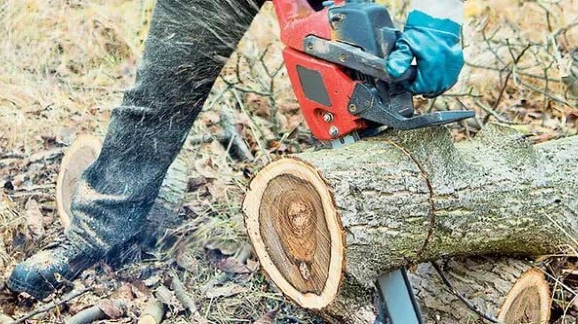 Δέντρο καταπλάκωσε 57χρονο υλοτόμο στη βόρεια Εύβοια