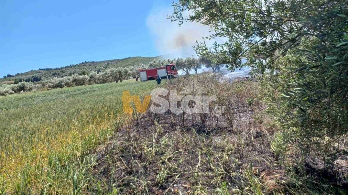 Υπό μερικό έλεγχο η φωτιά στον Αλίαρτο Βοιωτίας