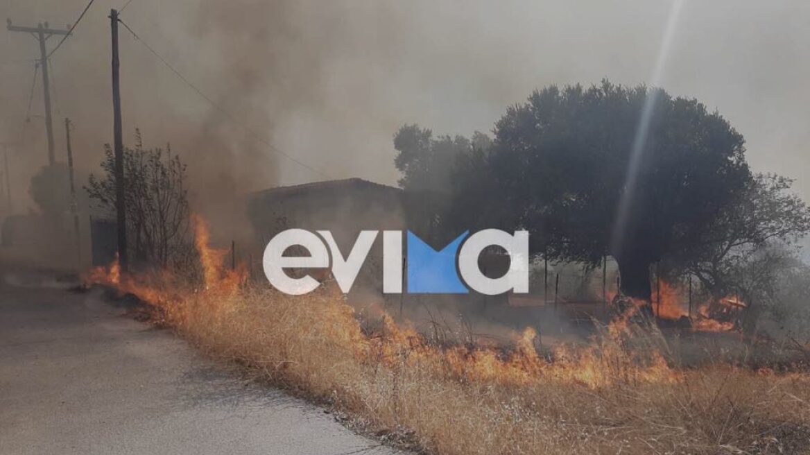 Φωτιά στην Ερέτρια, στη θέση Γέροντας - Μήνυμα από το 112 