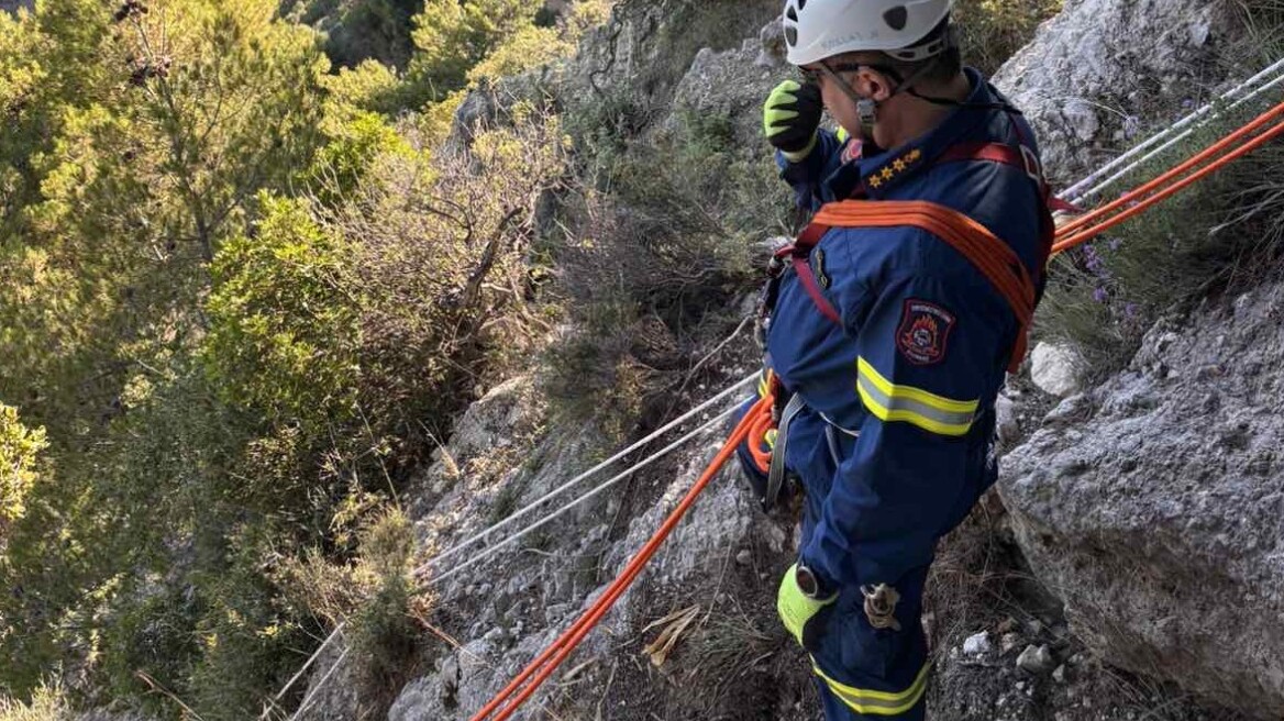 Πτώση τουρίστα από μεγάλο ύψος στην Κέρκυρα - Διακομίστηκε στο νοσοκομείο
