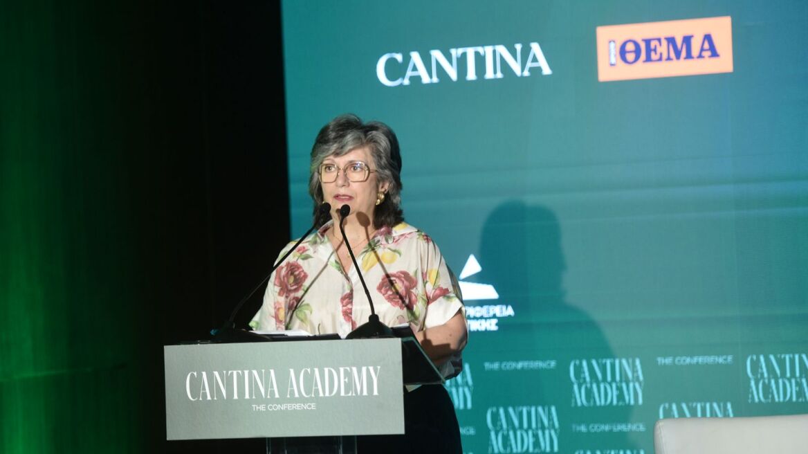 Νανά Δαρειώτη: Δημιουργούμε έναν καινοτόμο πυρήνα γνώσης
