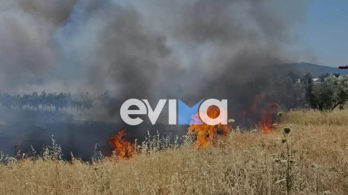 Φωτιά στη Ριτσώνα κοντά σε εργοστάσιο