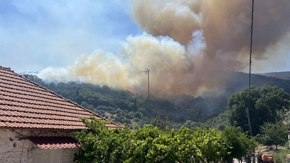 Φωτιά στα Πετράλωνα Μεσσηνίας - Μήνυμα 112 για εκκένωση προς Μελιγαλά, μεγάλη κινητοποίηση της Πυροσβεστικής