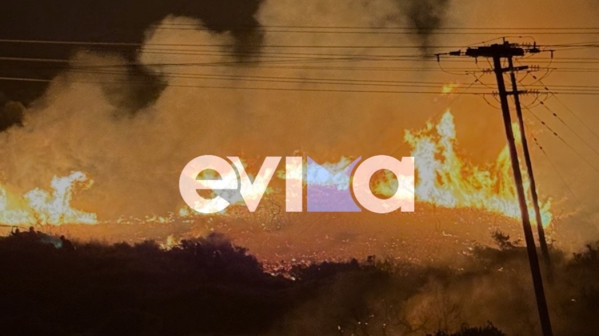 Υπό μερικό έλεγχο η φωτιά σε δασική έκταση στα Μεσοχώρια Εύβοιας 