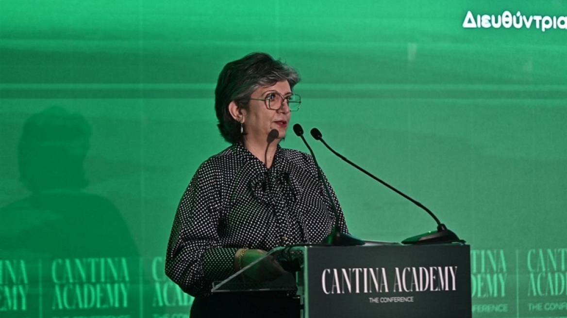 Νανά Δαρειώτη: Δημιουργούμε ένα εκκολαπτήριο ιδεών, δίνουμε φωνή στα σημαντικά ερωτήματα