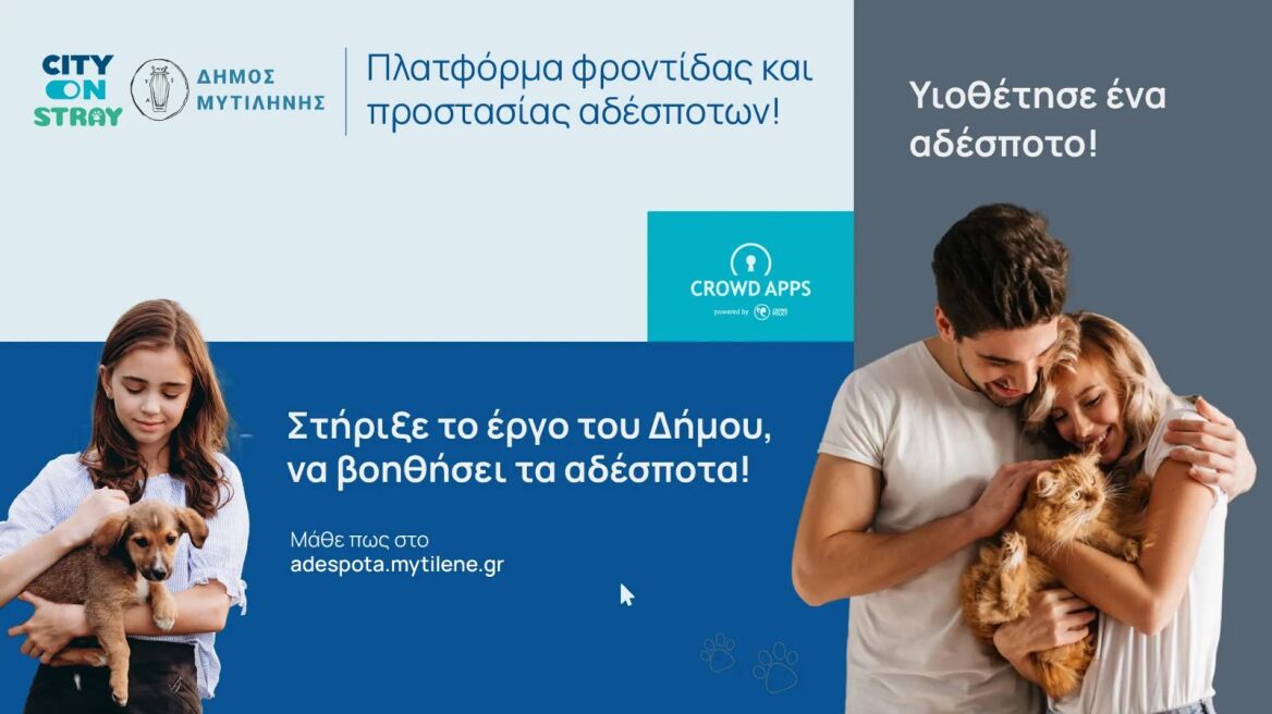 Δήμος Μυτιλήνης: Νέες ψηφιακές πλατφόρμες για τα αδέσποτα, τον εθελοντισμό και τη δημόσια διαβούλευση