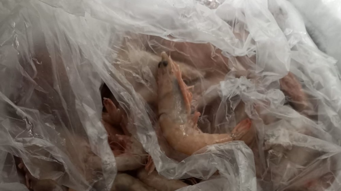 Νέες κατασχέσεις 5,6 τόνων ακατάλληλων τροφίμων από την Περιφέρεια Αττικής 