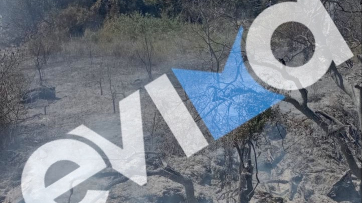 Σύλληψη και πρόστιμο 1.031 ευρώ σε 56χρονο μετά από φωτιά από αμέλεια στην Εύβοια  
