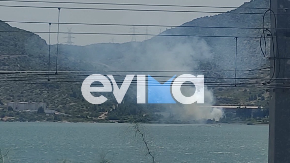 Φωτιά τώρα έξω σε ξερά χόρτα από εργοστάσιο στη Χαλκίδας