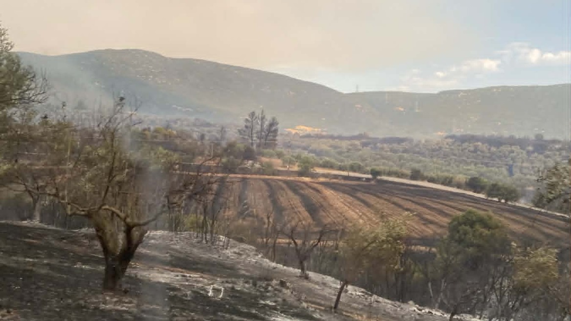 Εκδηλώθηκαν 40 αγροτοδασικές πυρκαγιές το τελευταίο εικοσιτετράωρο, η ενημέρωση της Πυροσβεστικής